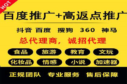 抖音信息流广告的投放策略与成功案例分析